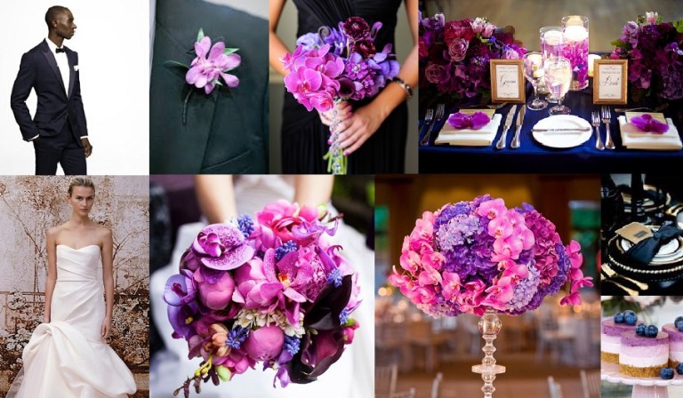 elegantorchidandnavy