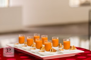 16-071713-Procopio Photography-Carnegie Library-083