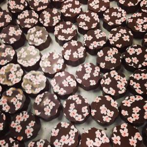 1964807_861763933849311_1992608853_n