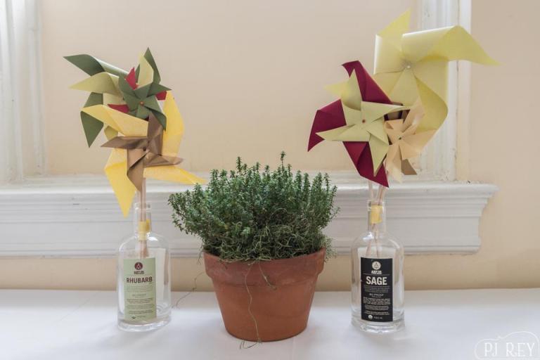 535007_10151798987897404_1416371445_n