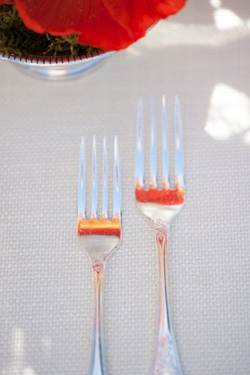 Rachael Foster Photography, Bright Occasions Planning & Styling