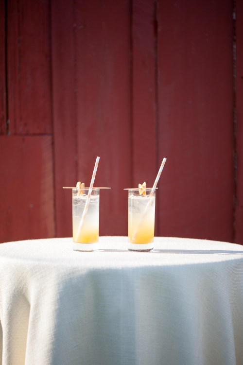 Rachael Foster Photography, Bright Occasions Planning & Styling