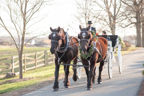 Rachael Foster Photography, Bright Occasions Planning & Styling