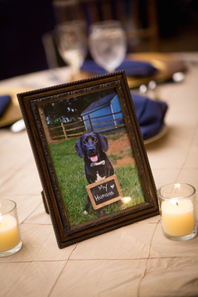 Kate Fine Art Photography, Bright Occasions Real Wedding