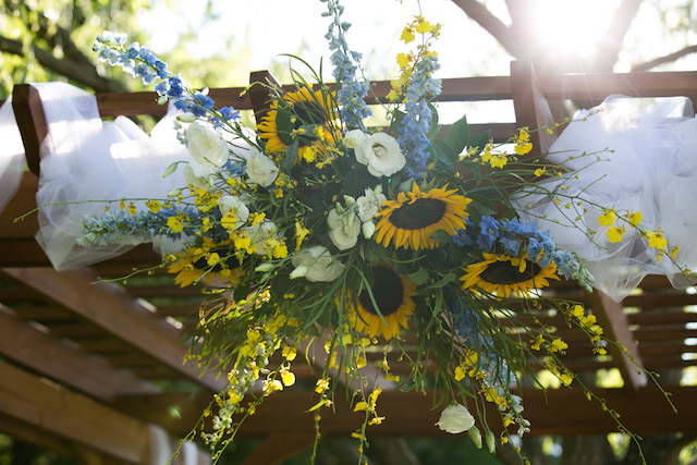 Julie Napear Photogtaphy, Bright Occasions Real Wedding