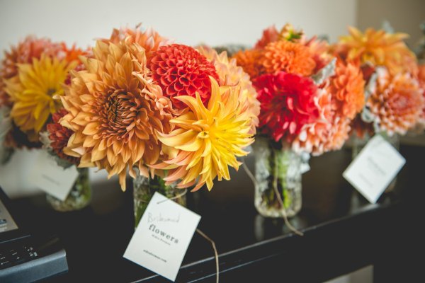 Emily Clack Photography, Bright Occasions Real Wedding, The Whittemore House DC