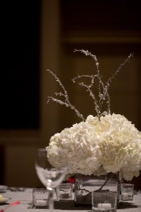 The Happy Couple Photography, Bright Occasions Real Wedding, DC Wedding at Corcoran Gallery of Art